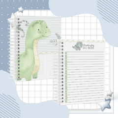 Kit Livro do Bebê + Caderneta de Saúde e Vacinação Menino - Tema Dinossauro