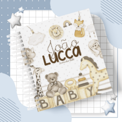 Kit Livro do Bebê + Caderneta de Saúde e Vacinação Menino - Tema Brinquedos