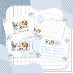 Kit Livro do Bebê + Caderneta de Saúde e Vacinação Menino - Tema Cachorrinho na internet