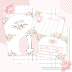 Kit Livro do Bebê + Caderneta de Saúde e Vacinação Menina - Tema Floral 2 na internet