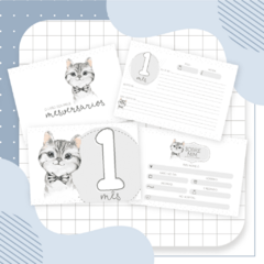 Kit Livro do Bebê + Caderneta de Saúde e Vacinação Menino - Tema Gatinho na internet