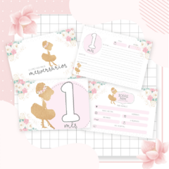 Livro do Bebê Menina - Tema Ballet - Fazendo Arte e Mimos - Papelaria personalizada / Encadernação artesanal/ Velas e home spray