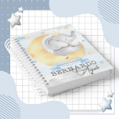 Kit Livro do Bebê + Caderneta de Saúde Menino - Tema Elefantinho - loja online