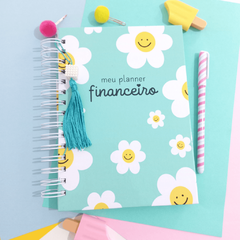 Planner Financeiro Anual Permanente - Capas Candy Collor