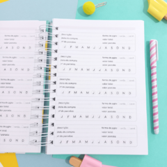 Planner Financeiro Anual Permanente - Capas Candy Collor - comprar online