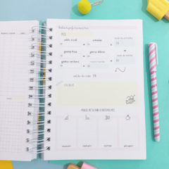 Planner Financeiro Anual Permanente - Capas Candy Collor na internet