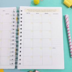 Planner Financeiro Anual Permanente - Capas Candy Collor - loja online