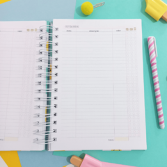 Planner Financeiro Anual Permanente - Capas Candy Collor