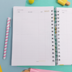 Planner Financeiro Anual Permanente - Capas Candy Collor - comprar online