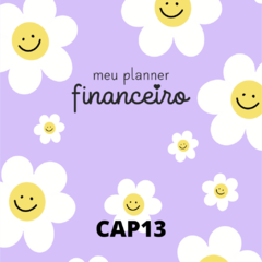 Planner Financeiro Anual Permanente - Capas Candy Collor - loja online