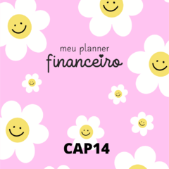 Imagem do Planner Financeiro Anual Permanente - Capas Candy Collor