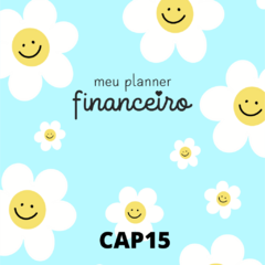 Planner Financeiro Anual Permanente - Capas Candy Collor