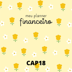 Planner Financeiro Anual Permanente - Capas Candy Collor - Fazendo Arte e Mimos - Papelaria personalizada / Encadernação artesanal/ Velas e home spray