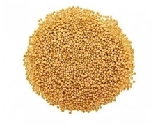 Mostaza en Grano x 50gr