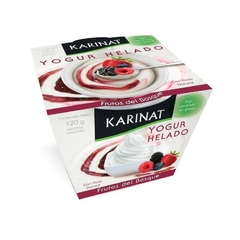 Yogur helado Karinat 120gr