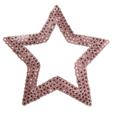 635 Estrella Calada 10cm x 25 - comprar online