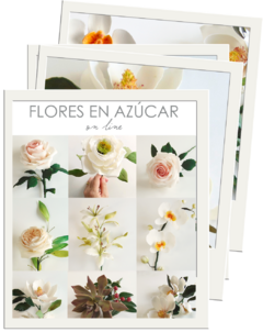 PACK SIETE CLASES MODELADO DE FLORES EN PASTA DE AZÚCAR