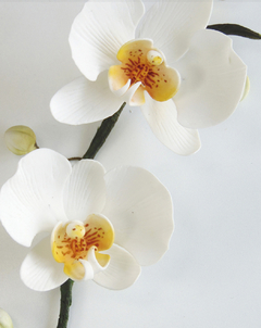 MODELADO DE ORQUÍDEA EN PASTA DE AZÚCAR