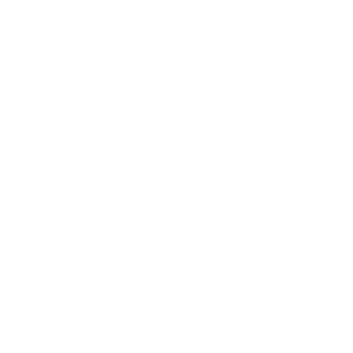 Henna Visage