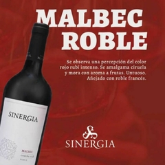 Sinergia Malbec Roble 750ml