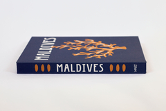 LIVRO CAIXA MALDIVES na internet