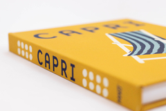 LIVRO CAIXA CAPRI - Trevi