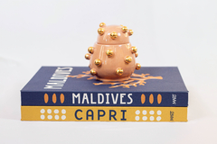 Imagem do LIVRO CAIXA MALDIVES