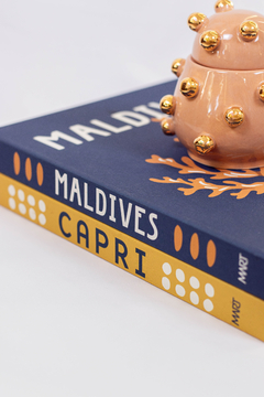 LIVRO CAIXA MALDIVES - comprar online