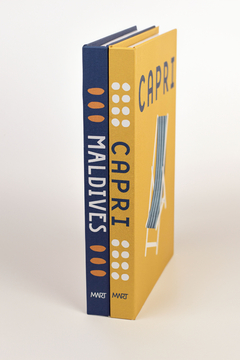 LIVRO CAIXA CAPRI - comprar online