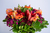Bouquet Maya · Colorido - comprar online