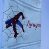 Toalha Lavabo Bordada Personalizada Infantil 30 x 45 cm - Marvel: Homem Aranha Spider Man