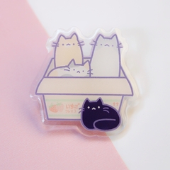 Pin acrilico cats on box