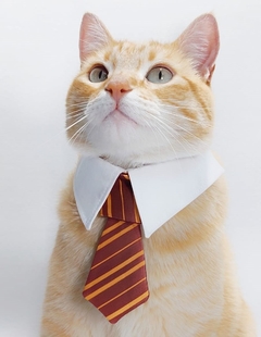 Corbata Gryffindor