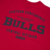 Camiseta Regular NBA Chicago Bulls Back To School Manga Curta na internet