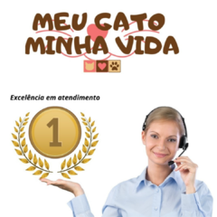 Toca Túnel Sustentável - Gatinho - comprar online