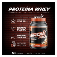 Grow Pro 20 Porciones 2 Lb - TU SITIO FLOW