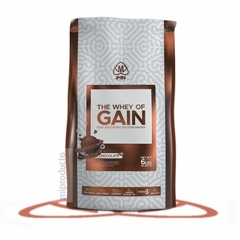 The Whey Of Proteina Gainer + Creatina 6lb Vainilla - comprar online