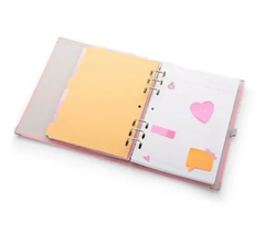 PLANNER ARGOLADO PINK STONE A5 - comprar online