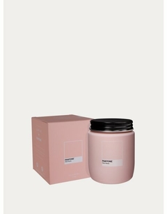 VELA POTE PINK PEONY 170g - comprar online