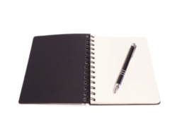 CADERNO WIRE-O COM CANETA VERDE MUSGO - comprar online