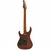 Guitarra Aria Pro II MAC-DLX Stained Brown na internet