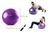 Bola De Exercicios Roxa 65cm Hidrolight Fl13b - comprar online