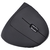 Mouse Sem Fio Recarregavel 2.4 Ghz Vertical Power Fit 1600 Dpi Preto Usb - Pm300