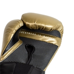 LUVAS DE TREINO PRO STYLE ELITE V2 DOURADO 12 OZ - EVERLAST - loja do atleta