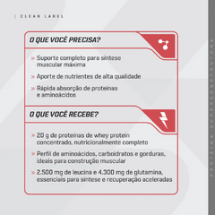 WHEY PROTEIN CONCENTRADO SACHE BAUNILHA - DUX NUTRITION na internet