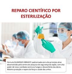 Essência herbal antifúngica à base de extratos de flores e de raízes