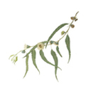 Logo de www.petitsceramica.com.ar