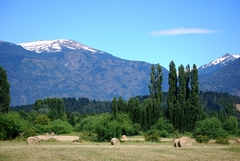 Banner de la categoría Postales de Chubut