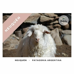 Chiva de angora en Neuquén - Biodiversidad