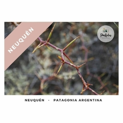 Neuquén - Biodiversidad